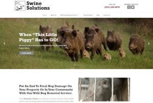 Swine Solutions