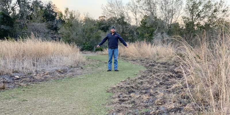 Feral Hog Damage in Parrish, Florida