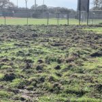 Soccer Field Hog Damage in Riverview, Florida